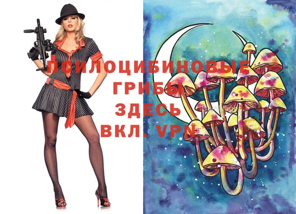 герыч Абаза