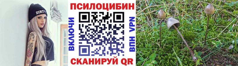 Псилоцибиновые грибы мухоморы  Таганрог 