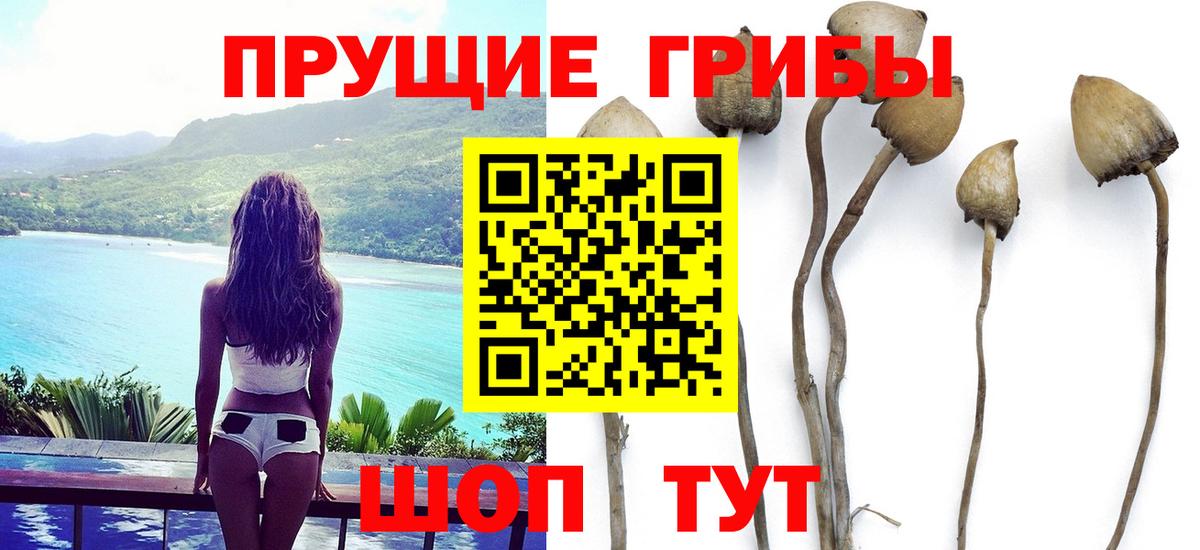 Галлюциногенные грибы ЛСД  Псилоцибиновые грибы ЛСД  Вход с VPN  Таганрог 