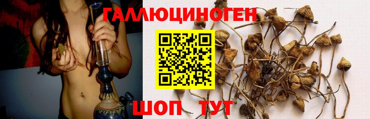 Псилоцибиновые грибы прущие грибы Таганрог